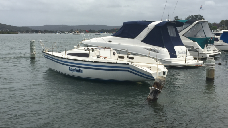 sonata 8 yacht review