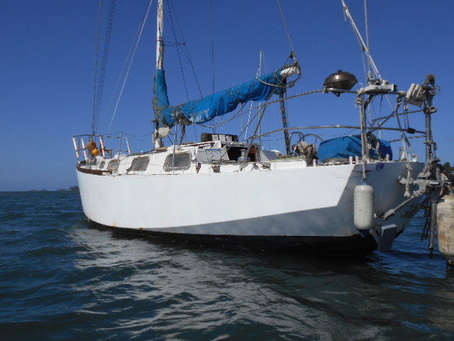 steel yachts for sale nsw