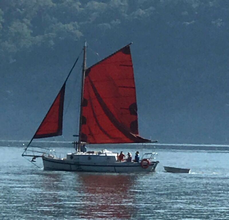 wooden sailboats for sale australia