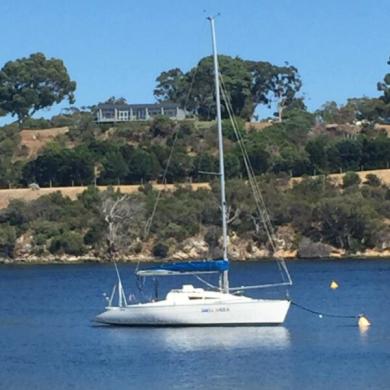 whiting 32 yacht for sale