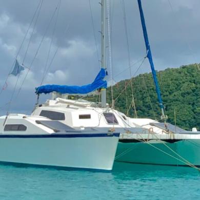 woods gypsy catamaran for sale