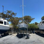 whiting 32 yacht for sale